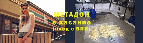 стаф Алзамай