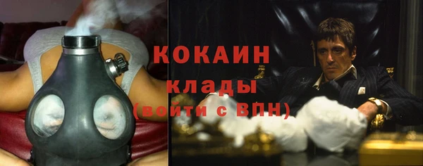 сатива Алексин