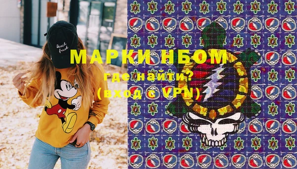 стаф Алзамай