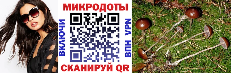 как найти   гидра маркетплейс  Галлюциногенные грибы Psilocybine cubensis  Боровск 